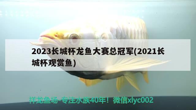 2023長城杯龍魚大賽總冠軍(2021長城杯觀賞魚) 2024第28屆中國國際寵物水族展覽會CIPS（長城寵物展2024 CIPS）