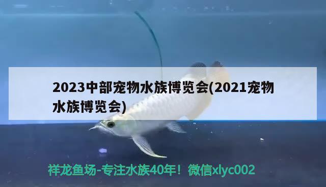 2023中部寵物水族博覽會(2021寵物水族博覽會) 2024第28屆中國國際寵物水族展覽會CIPS（長城寵物展2024 CIPS）