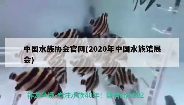 中國(guó)水族協(xié)會(huì)官網(wǎng)(2020年中國(guó)水族館展會(huì)) 2024第28屆中國(guó)國(guó)際寵物水族展覽會(huì)CIPS（長(zhǎng)城寵物展2024 CIPS）