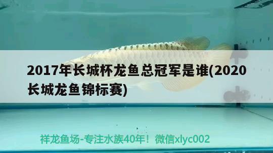 2017年長城杯龍魚總冠軍是誰(2020長城龍魚錦標賽)