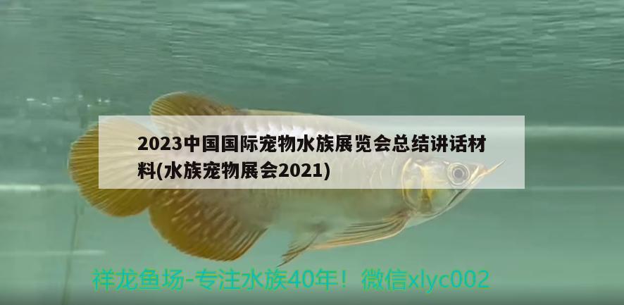 2023中國國際寵物水族展覽會總結講話材料(水族寵物展會2021)