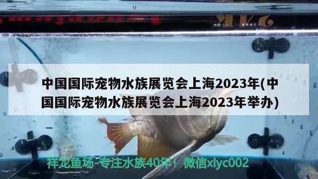 中國(guó)國(guó)際寵物水族展覽會(huì)上海2023年(中國(guó)國(guó)際寵物水族展覽會(huì)上海2023年舉辦)