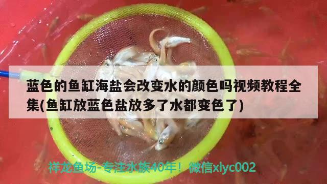 藍色的魚缸海鹽會改變水的顏色嗎視頻教程全集(魚缸放藍色鹽放多了水都變色了) 帝王血鉆