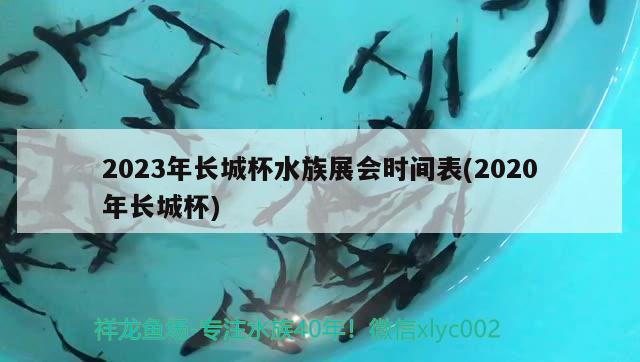 2023年長(zhǎng)城杯水族展會(huì)時(shí)間表(2020年長(zhǎng)城杯) 水族展會(huì)