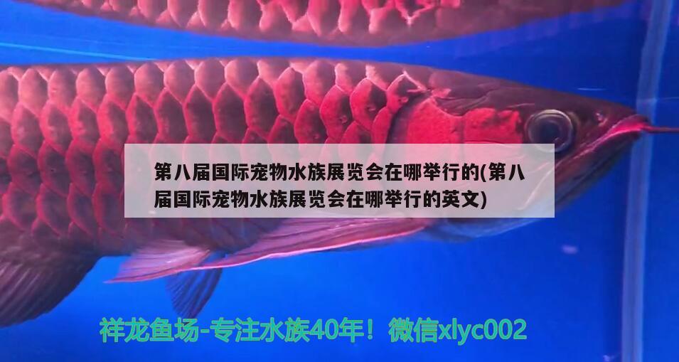 第八屆國際寵物水族展覽會在哪舉行的(第八屆國際寵物水族展覽會在哪舉行的英文)