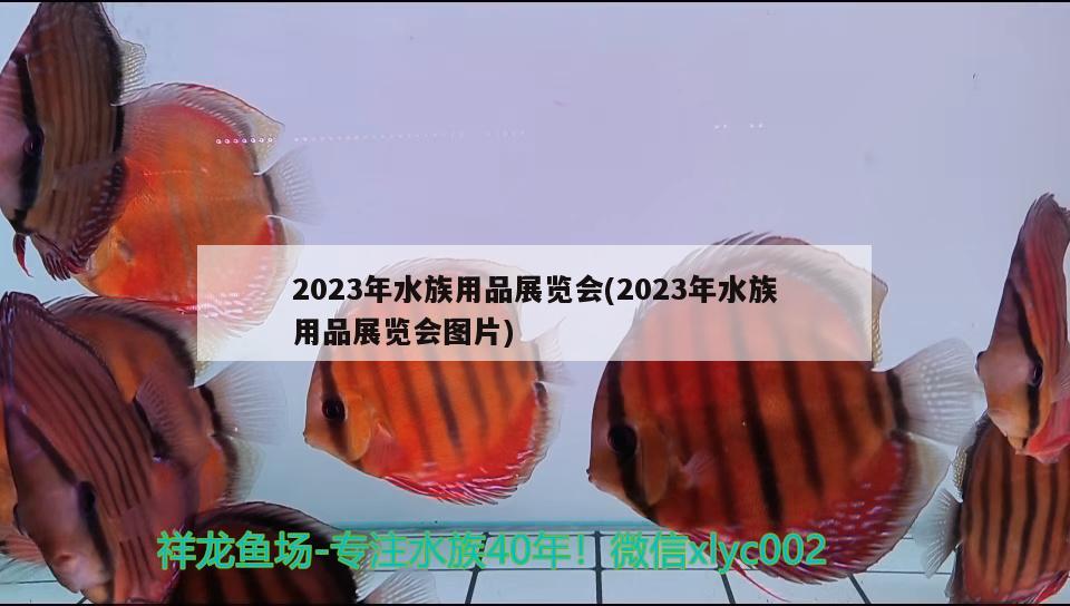 2023年水族用品展覽會(huì)(2023年水族用品展覽會(huì)圖片)