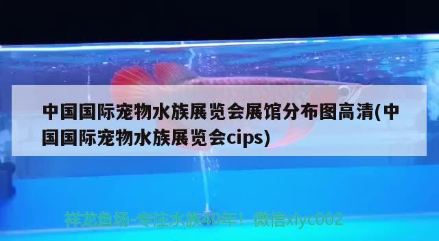 中國(guó)國(guó)際寵物水族展覽會(huì)展館分布圖高清(中國(guó)國(guó)際寵物水族展覽會(huì)cips)