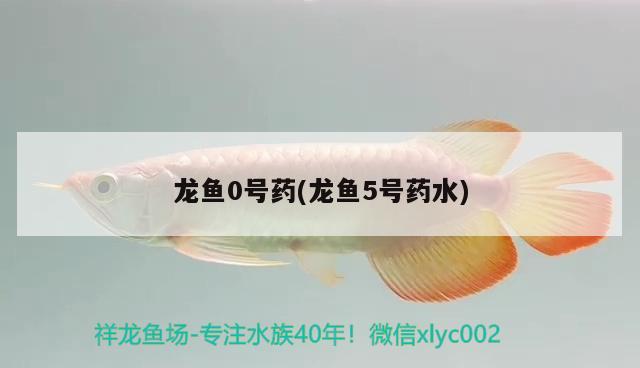 龍魚0號(hào)藥(龍魚5號(hào)藥水)