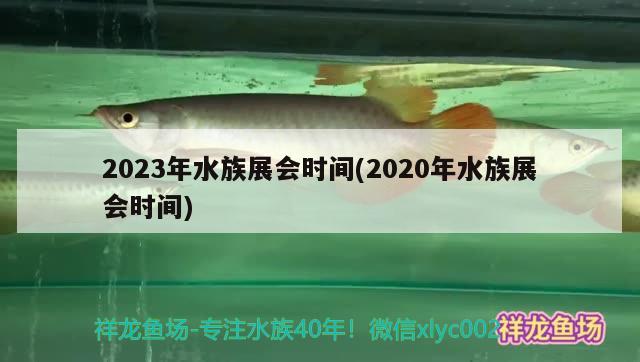 2023年水族展會時間(2020年水族展會時間)