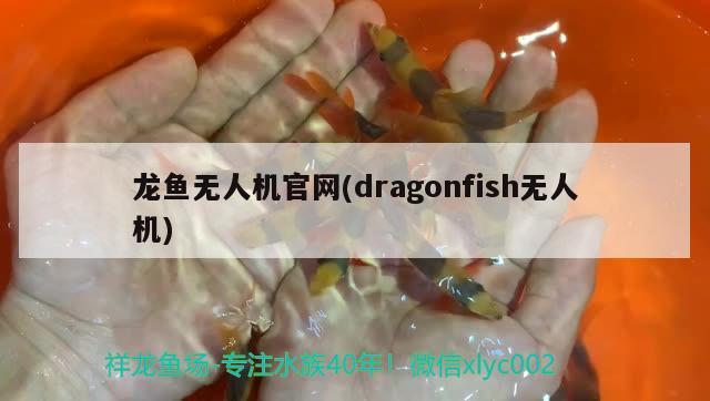 龍魚無人機官網(wǎng)(dragonfish無人機) 2024第28屆中國國際寵物水族展覽會CIPS（長城寵物展2024 CIPS）