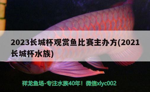 2023長城杯觀賞魚比賽主辦方(2021長城杯水族)