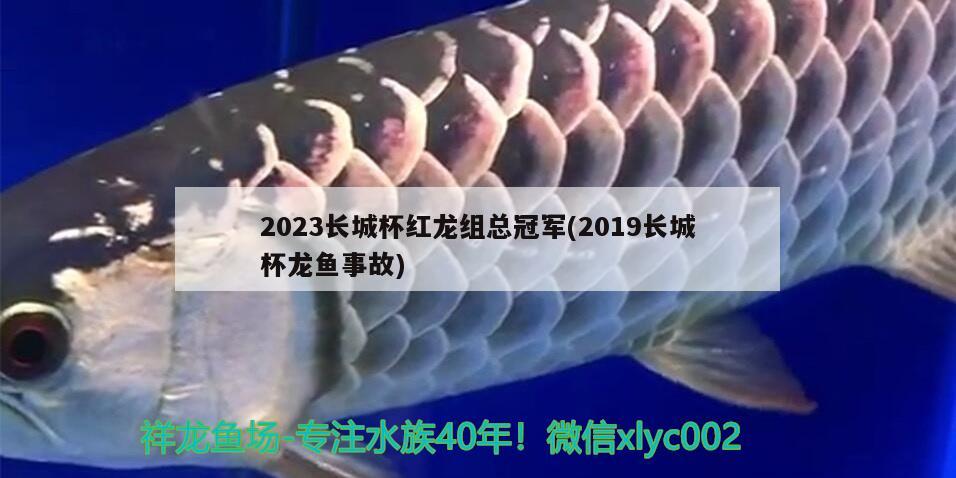 2023長城杯紅龍組總冠軍(2019長城杯龍魚事故)