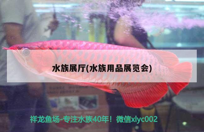 水族展廳(水族用品展覽會(huì)) 水族展會(huì)