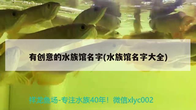 有創(chuàng)意的水族館名字(水族館名字大全) 2024第28屆中國國際寵物水族展覽會CIPS（長城寵物展2024 CIPS）