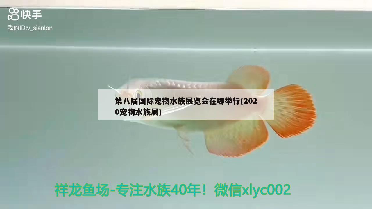 第八屆國(guó)際寵物水族展覽會(huì)在哪舉行(2020寵物水族展) 水族展會(huì)