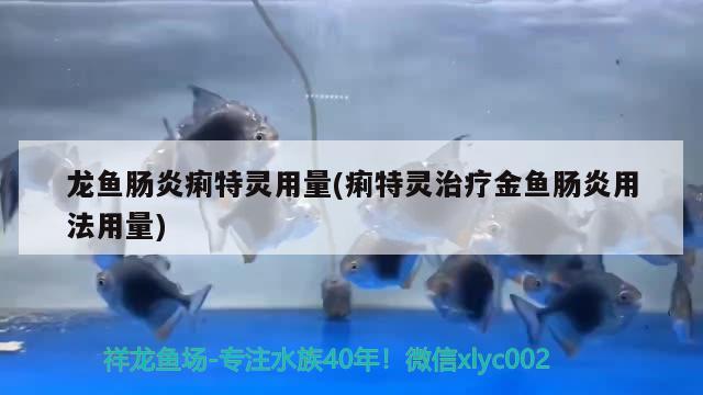 龍魚腸炎痢特靈用量(痢特靈治療金魚腸炎用法用量) 2024第28屆中國國際寵物水族展覽會CIPS（長城寵物展2024 CIPS） 第3張