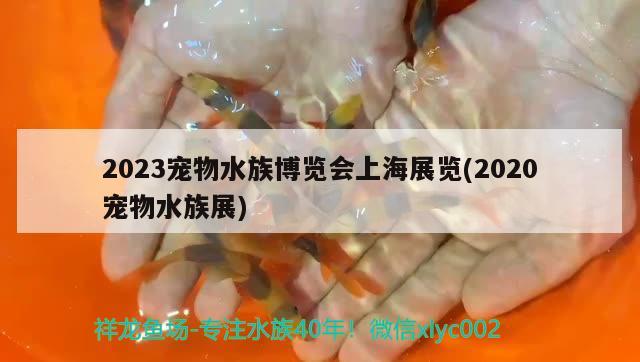 2023寵物水族博覽會(huì)上海展覽(2020寵物水族展)