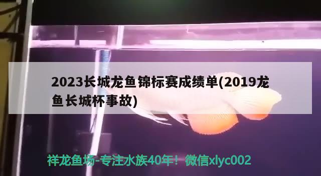 2023長城龍魚錦標(biāo)賽成績單(2019龍魚長城杯事故)