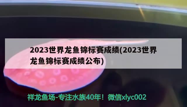 2023世界龍魚錦標賽成績(2023世界龍魚錦標賽成績公布)