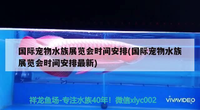 國際寵物水族展覽會時間安排(國際寵物水族展覽會時間安排最新) 水族展會