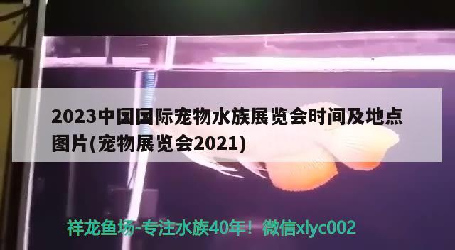 2023中國國際寵物水族展覽會(huì)時(shí)間及地點(diǎn)圖片(寵物展覽會(huì)2021)