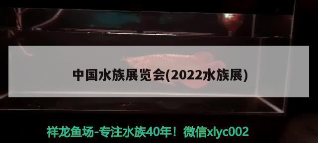 中國水族展覽會(2022水族展) 水族展會