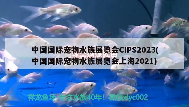 中國國際寵物水族展覽會CIPS2023(中國國際寵物水族展覽會上海2021)