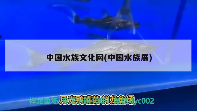 中國水族文化網(wǎng)(中國水族展) 水族展會