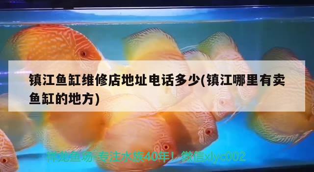 鎮(zhèn)江魚缸維修店地址電話多少(鎮(zhèn)江哪里有賣魚缸的地方)