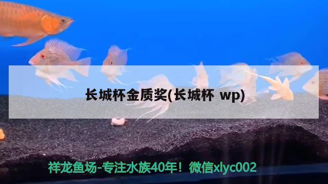 長城杯金質(zhì)獎(長城杯wp) 2024第28屆中國國際寵物水族展覽會CIPS（長城寵物展2024 CIPS）