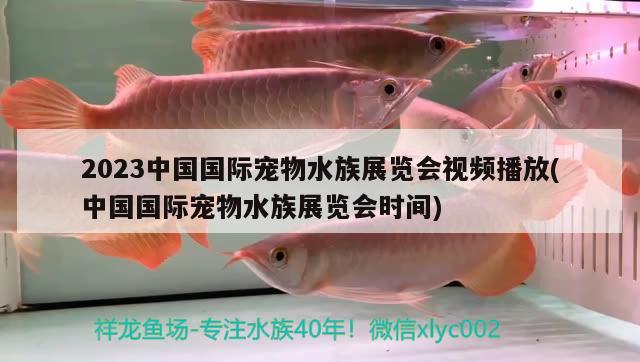 2023中國國際寵物水族展覽會視頻播放(中國國際寵物水族展覽會時間)