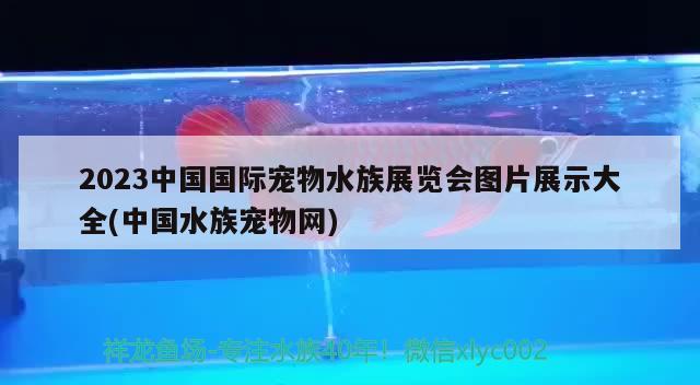 2023中國國際寵物水族展覽會圖片展示大全(中國水族寵物網(wǎng)) 水族展會