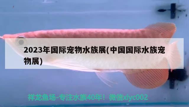 2023年國際寵物水族展(中國國際水族寵物展) 水族展會