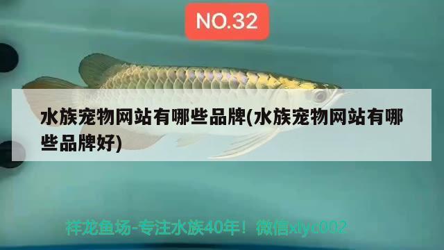 水族寵物網(wǎng)站有哪些品牌(水族寵物網(wǎng)站有哪些品牌好)