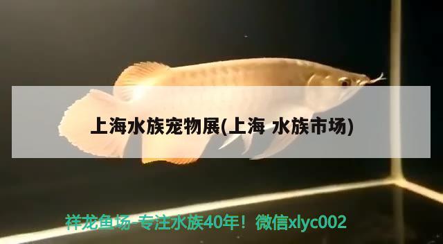 上海水族寵物展(上海水族市場) 2024第28屆中國國際寵物水族展覽會CIPS（長城寵物展2024 CIPS）