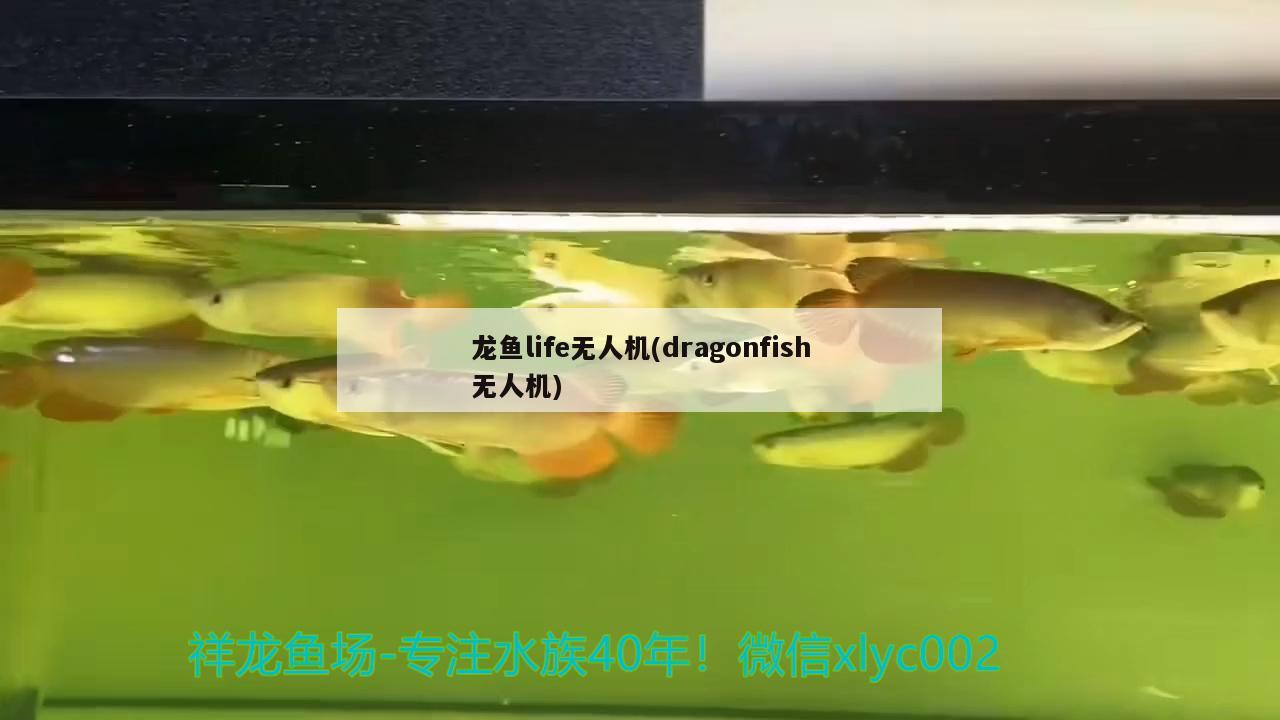 龍魚life無人機(jī)(dragonfish無人機(jī)) 2024第28屆中國國際寵物水族展覽會(huì)CIPS（長城寵物展2024 CIPS）