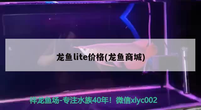 龍魚lite價(jià)格(龍魚商城) 2024第28屆中國(guó)國(guó)際寵物水族展覽會(huì)CIPS（長(zhǎng)城寵物展2024 CIPS）