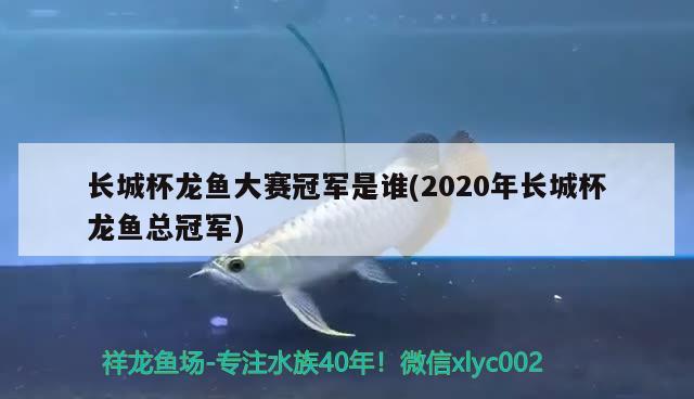 長城杯龍魚大賽冠軍是誰(2020年長城杯龍魚總冠軍) 2024第28屆中國國際寵物水族展覽會CIPS（長城寵物展2024 CIPS）