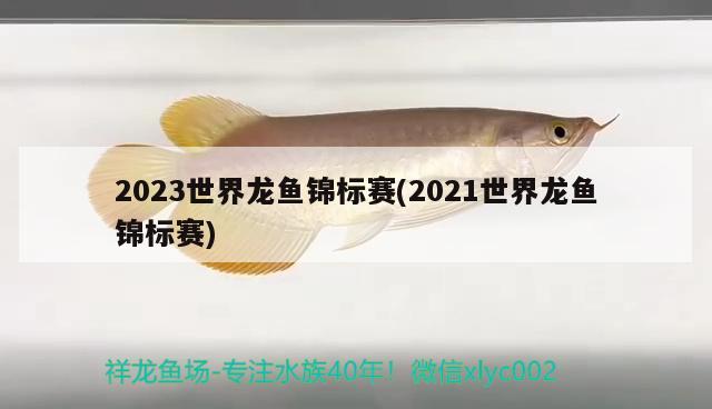 2023世界龍魚(yú)錦標(biāo)賽(2021世界龍魚(yú)錦標(biāo)賽) 2024第28屆中國(guó)國(guó)際寵物水族展覽會(huì)CIPS（長(zhǎng)城寵物展2024 CIPS）