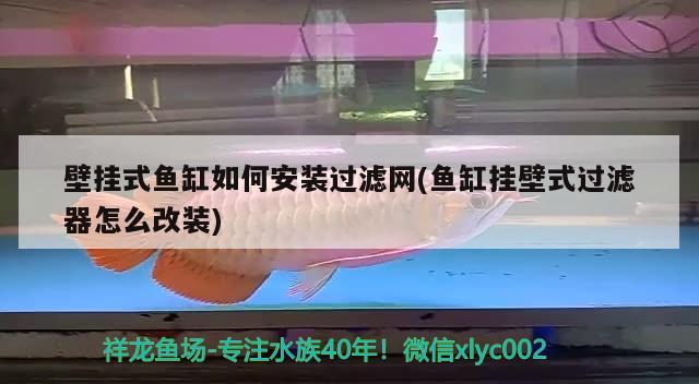 壁掛式魚缸如何安裝過濾網(wǎng)(魚缸掛壁式過濾器怎么改裝)