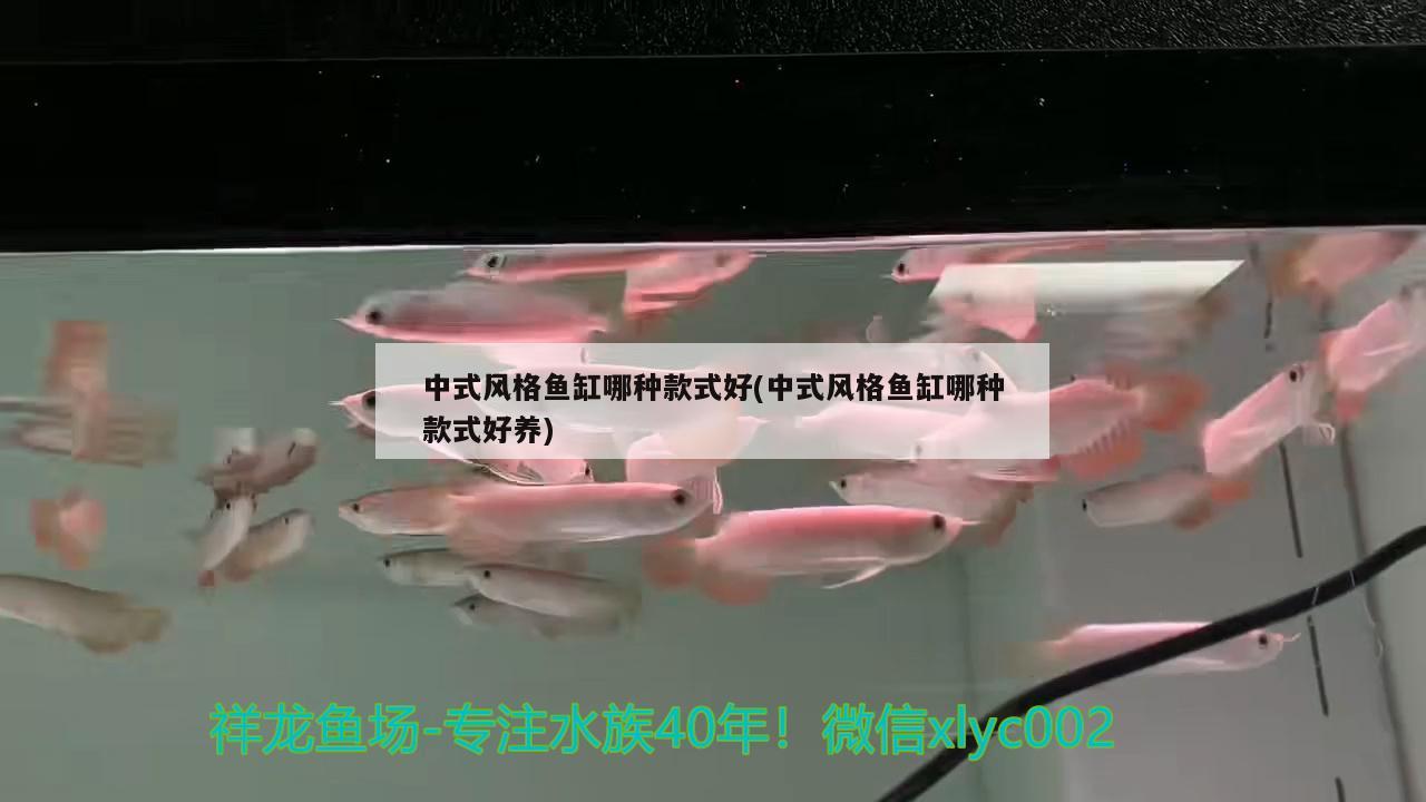 中式風(fēng)格魚缸哪種款式好(中式風(fēng)格魚缸哪種款式好養(yǎng))