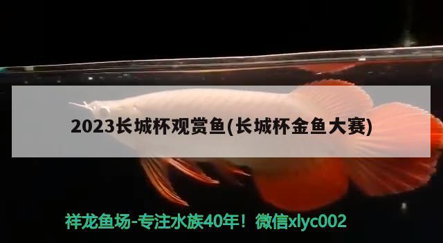 2023長城杯觀賞魚(長城杯金魚大賽) 2024第28屆中國國際寵物水族展覽會(huì)CIPS（長城寵物展2024 CIPS） 第3張