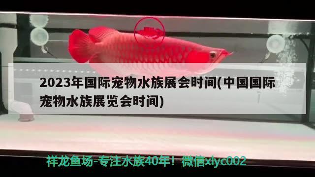 2023年國際寵物水族展會時間(中國國際寵物水族展覽會時間)