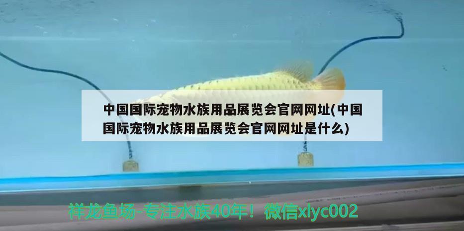 中國國際寵物水族用品展覽會(huì)官網(wǎng)網(wǎng)址(中國國際寵物水族用品展覽會(huì)官網(wǎng)網(wǎng)址是什么)