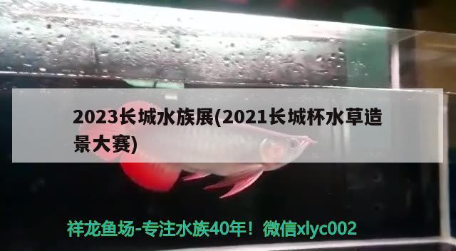 2023長(zhǎng)城水族展(2021長(zhǎng)城杯水草造景大賽)