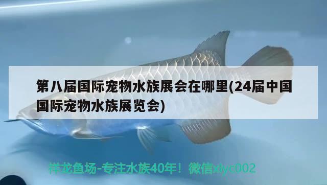 第八屆國際寵物水族展會在哪里(24屆中國國際寵物水族展覽會) 水族展會