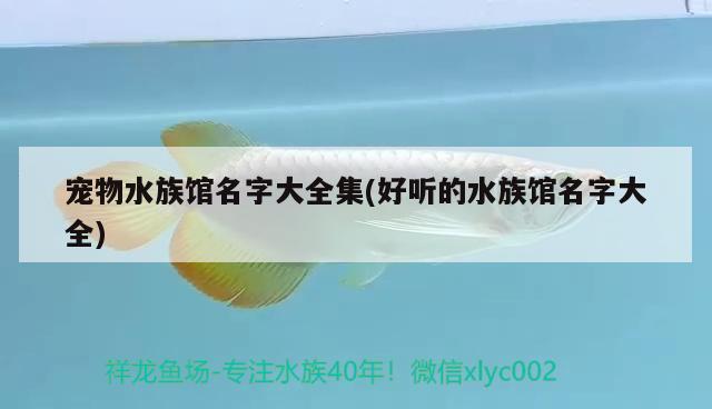 寵物水族館名字大全集(好聽的水族館名字大全) 2024第28屆中國(guó)國(guó)際寵物水族展覽會(huì)CIPS（長(zhǎng)城寵物展2024 CIPS）