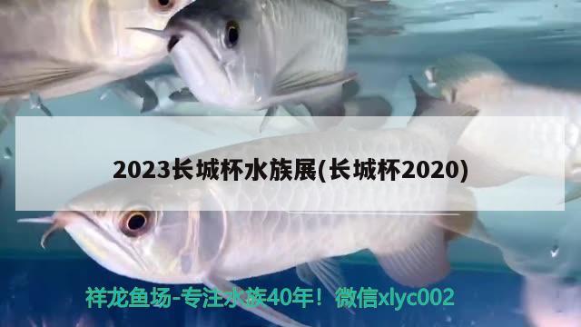 2023長城杯水族展(長城杯2020)