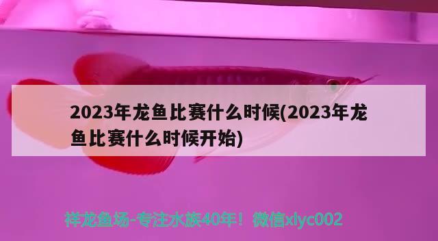 2023年龍魚比賽什么時(shí)候(2023年龍魚比賽什么時(shí)候開始) 2024第28屆中國國際寵物水族展覽會(huì)CIPS（長(zhǎng)城寵物展2024 CIPS）