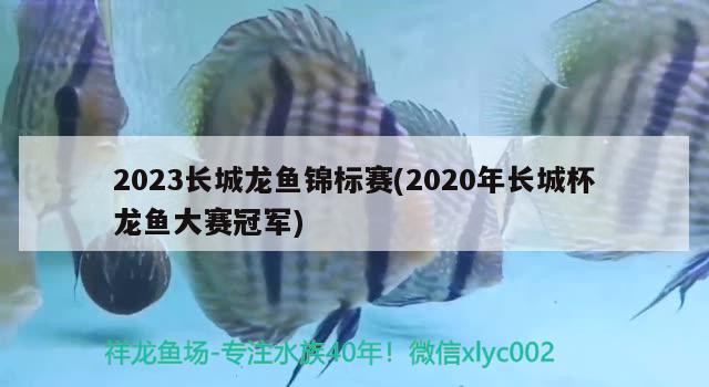 2023長城龍魚錦標(biāo)賽(2020年長城杯龍魚大賽冠軍)